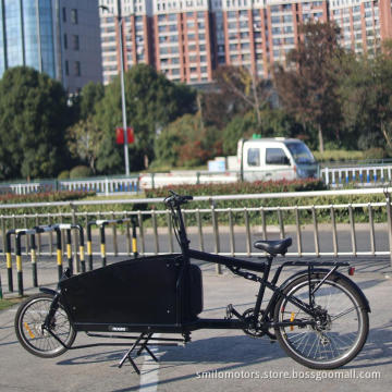 front loading cargo ebike e-cargo family europe ecargo